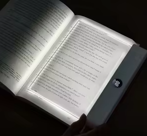 LED Reading Light